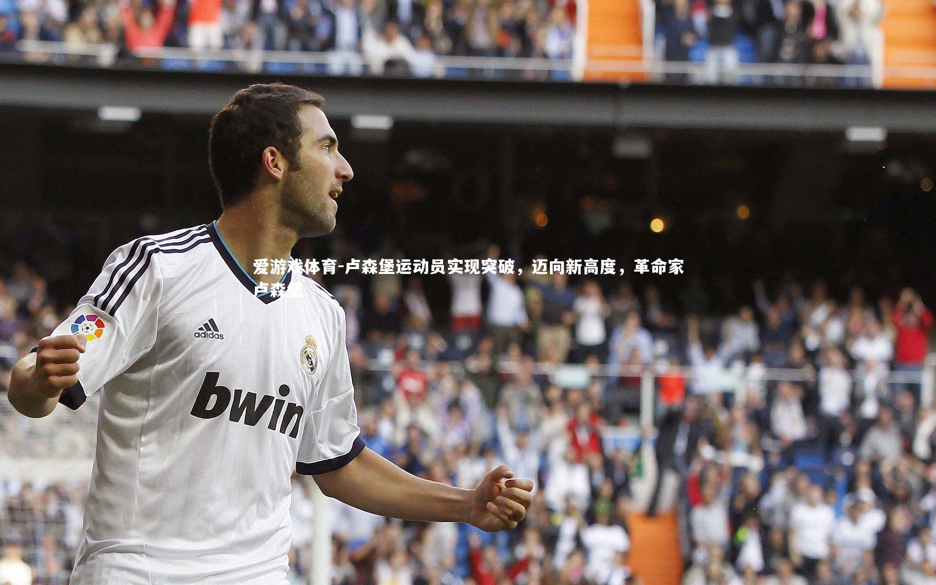 卢森堡运动员实现突破，迈向新高度，革命家卢森堡