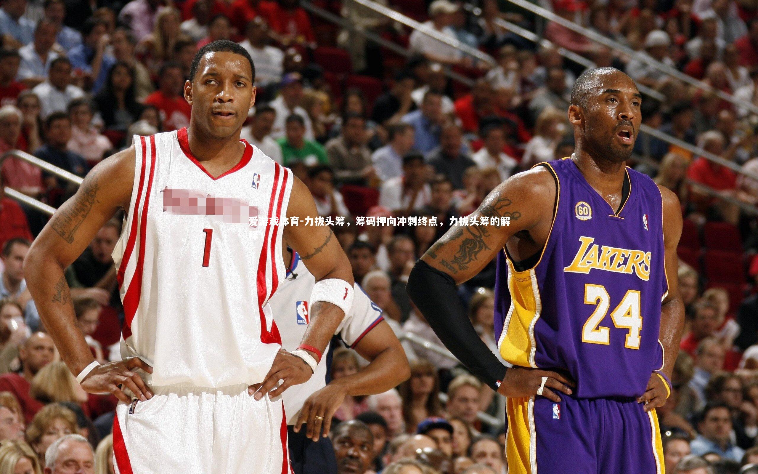 力拔头筹，筹码押向冲刺终点，力拔头筹的解释